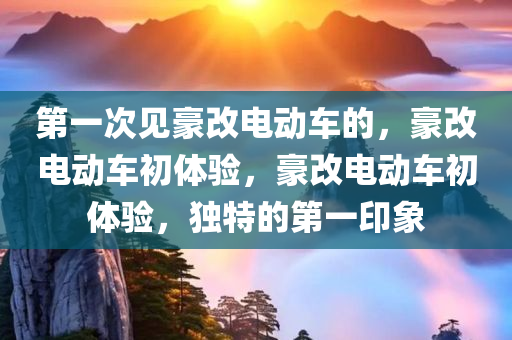 第一次见豪改电动车的，豪改电动车初体验，豪改电动车初体验，独特的第一印象