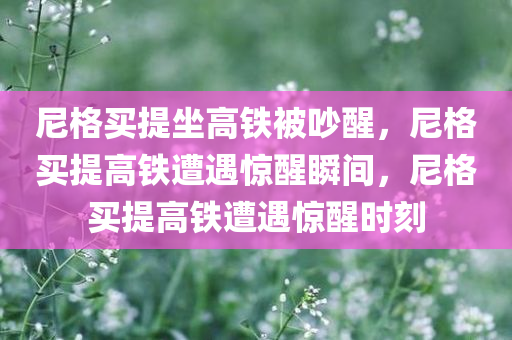 尼格买提坐高铁被吵醒，尼格买提高铁遭遇惊醒瞬间，尼格买提高铁遭遇惊醒时刻