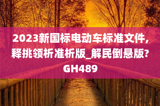 2023新国标电动车标准文件,释挑领析准析版_解民倒悬版?GH489
