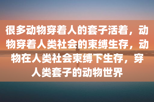 很多动物穿着人的套子活着，动物穿着人类社会的束缚生存，动物在人类社会束缚下生存，穿人类套子的动物世界