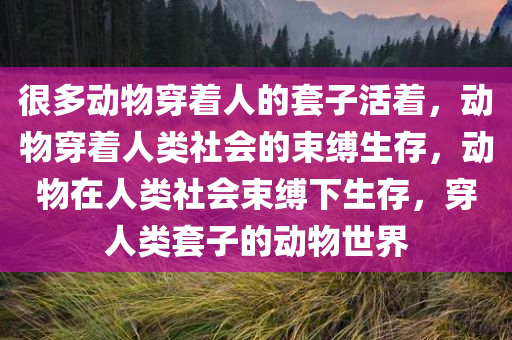 很多动物穿着人的套子活着，动物穿着人类社会的束缚生存，动物在人类社会束缚下生存，穿人类套子的动物世界
