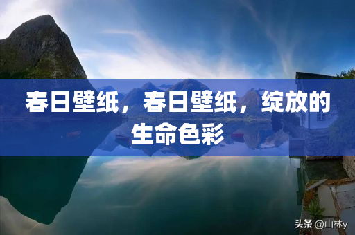 春日壁纸，春日壁纸，绽放的生命色彩