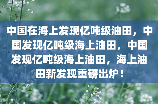 中国在海上发现亿吨级油田，中国发现亿吨级海上油田，中国发现亿吨级海上油田，海上油田新发现重磅出炉！