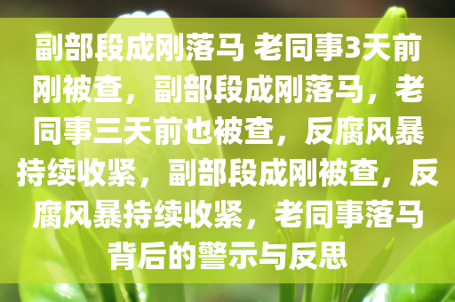 副部段成刚落马 老同事3天前刚被查，副部段成刚落马，老同事三天前也被查，反腐风暴持续收紧，副部段成刚被查，反腐风暴持续收紧，老同事落马背后的警示与反思