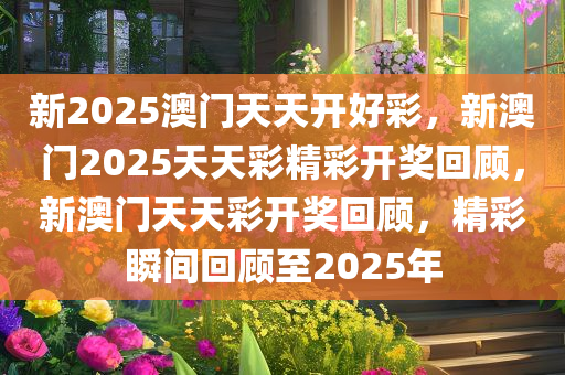 新2025澳门天天开好彩，新澳门2025天天彩精彩开奖回顾，新澳门天天彩开奖回顾，精彩瞬间回顾至2025年