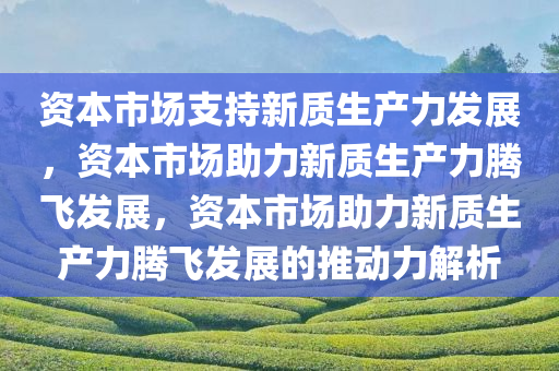 资本市场支持新质生产力发展，资本市场助力新质生产力腾飞发展，资本市场助力新质生产力腾飞发展的推动力解析
