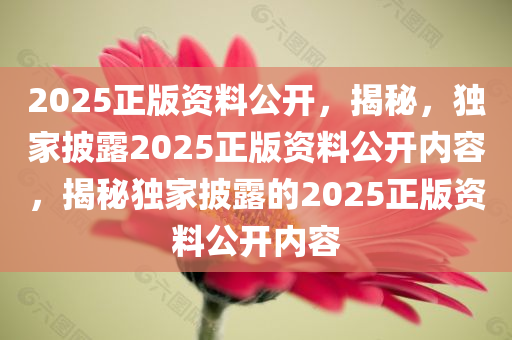2025正版资料公开，揭秘，独家披露2025正版资料公开内容，揭秘独家披露的2025正版资料公开内容