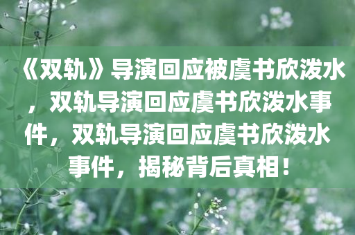 《双轨》导演回应被虞书欣泼水，双轨导演回应虞书欣泼水事件，双轨导演回应虞书欣泼水事件，揭秘背后真相！
