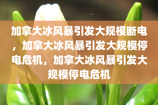 加拿大冰风暴引发大规模断电，加拿大冰风暴引发大规模停电危机，加拿大冰风暴引发大规模停电危机