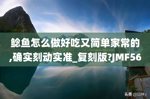 鲶鱼怎么做好吃又简单家常的,确实刻动实准_复刻版?JMF56