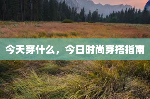 今天穿什么，今日时尚穿搭指南