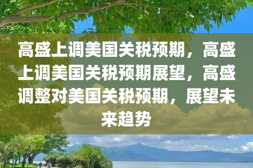 高盛上调美国关税预期，高盛上调美国关税预期展望，高盛调整对美国关税预期，展望未来趋势