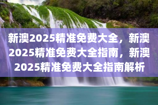 新澳2025精准免费大全，新澳2025精准免费大全指南，新澳2025精准免费大全指南解析