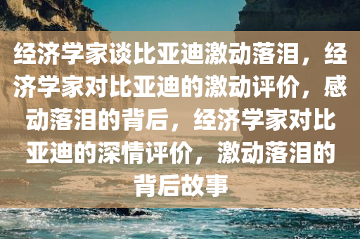 经济学家谈比亚迪激动落泪，经济学家对比亚迪的激动评价，感动落泪的背后，经济学家对比亚迪的深情评价，激动落泪的背后故事