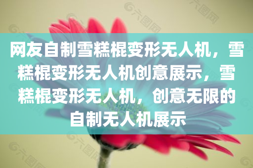网友自制雪糕棍变形无人机，雪糕棍变形无人机创意展示，雪糕棍变形无人机，创意无限的自制无人机展示