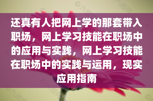 还真有人把网上学的那套带入职场，网上学习技能在职场中的应用与实践，网上学习技能在职场中的实践与运用，现实应用指南