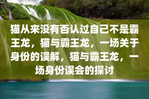 猫从来没有否认过自己不是霸王龙，猫与霸王龙，一场关于身份的误解，猫与霸王龙，一场身份误会的探讨