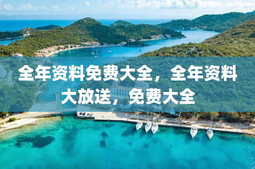 全年资料免费大全，全年资料大放送，免费大全