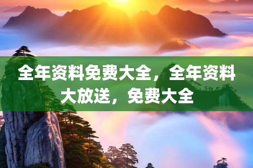 全年资料免费大全，全年资料大放送，免费大全