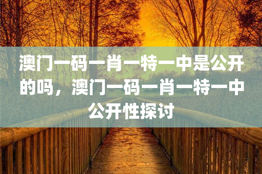 澳门一码一肖一特一中是公开的吗，澳门一码一肖一特一中公开性探讨