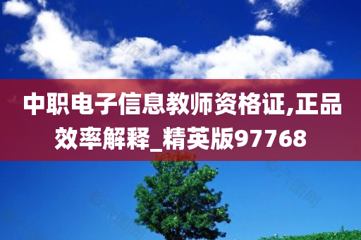 中职电子信息教师资格证,正品效率解释_精英版97768