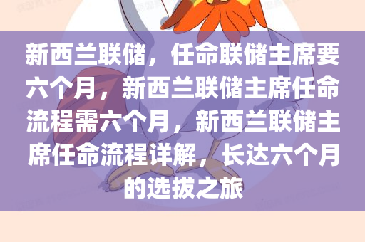 新西兰联储，任命联储主席要六个月，新西兰联储主席任命流程需六个月，新西兰联储主席任命流程详解，长达六个月的选拔之旅