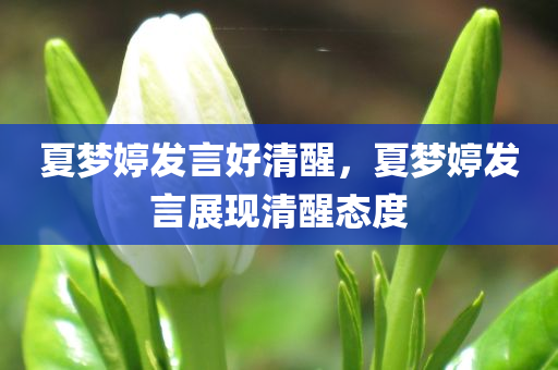 夏梦婷发言好清醒，夏梦婷发言展现清醒态度