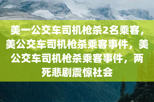 美一公交车司机枪杀2名乘客，美公交车司机枪杀乘客事件，美公交车司机枪杀乘客事件，两死悲剧震惊社会
