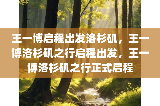 王一博启程出发洛杉矶，王一博洛杉矶之行启程出发，王一博洛杉矶之行正式启程
