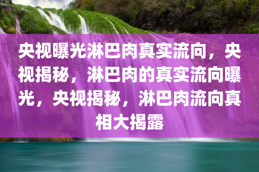 央视曝光淋巴肉真实流向，央视揭秘，淋巴肉的真实流向曝光，央视揭秘，淋巴肉流向真相大揭露