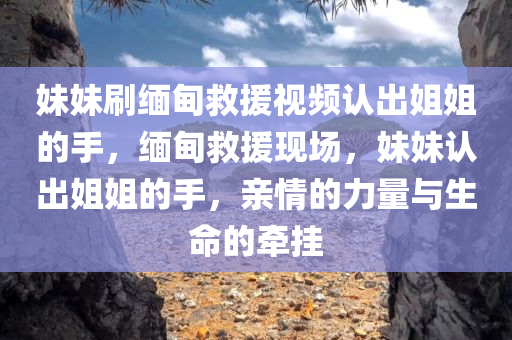 妹妹刷缅甸救援视频认出姐姐的手，缅甸救援现场，妹妹认出姐姐的手，亲情的力量与生命的牵挂