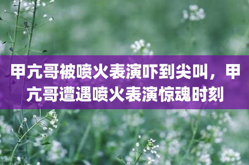 甲亢哥被喷火表演吓到尖叫，甲亢哥遭遇喷火表演惊魂时刻