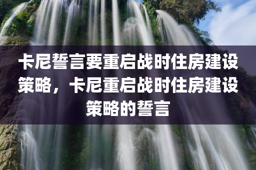 卡尼誓言要重启战时住房建设策略，卡尼重启战时住房建设策略的誓言