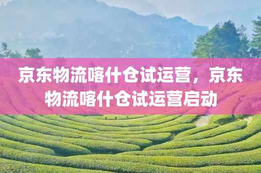 京东物流喀什仓试运营，京东物流喀什仓试运营启动