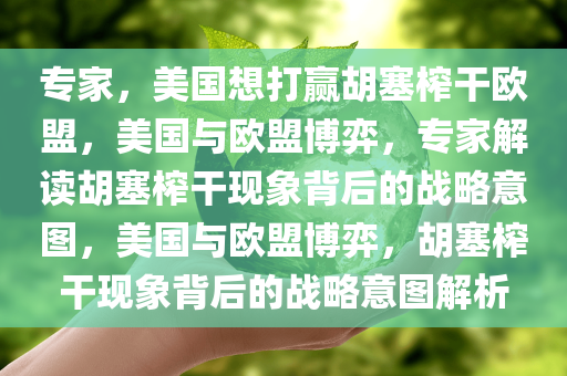 专家，美国想打赢胡塞榨干欧盟，美国与欧盟博弈，专家解读胡塞榨干现象背后的战略意图，美国与欧盟博弈，胡塞榨干现象背后的战略意图解析