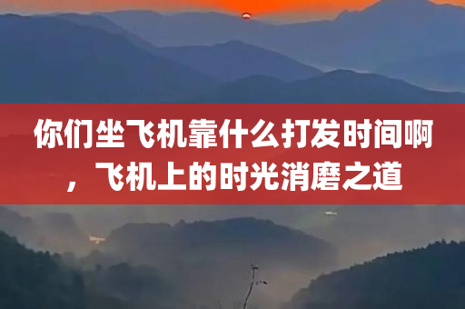 你们坐飞机靠什么打发时间啊，飞机上的时光消磨之道