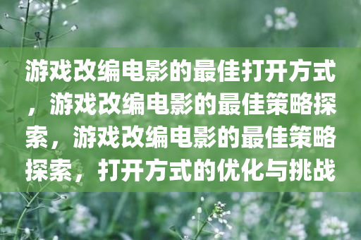 游戏改编电影的最佳打开方式，游戏改编电影的最佳策略探索，游戏改编电影的最佳策略探索，打开方式的优化与挑战