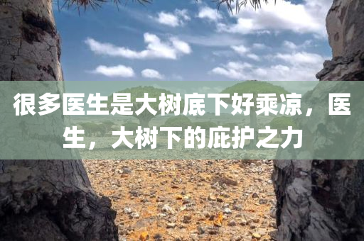 很多医生是大树底下好乘凉，医生，大树下的庇护之力