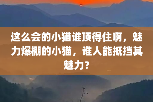 这么会的小猫谁顶得住啊，魅力爆棚的小猫，谁人能抵挡其魅力？