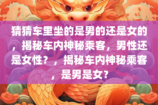 猜猜车里坐的是男的还是女的，揭秘车内神秘乘客，男性还是女性？，揭秘车内神秘乘客，是男是女？