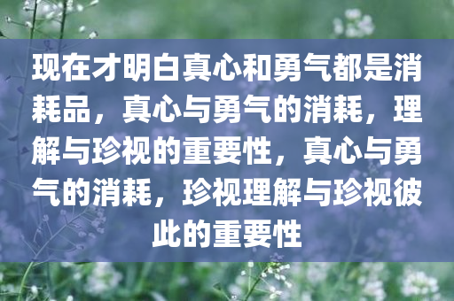现在才明白真心和勇气都是消耗品，真心与勇气的消耗，理解与珍视的重要性，真心与勇气的消耗，珍视理解与珍视彼此的重要性