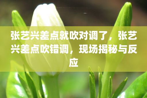 张艺兴差点就吹对调了，张艺兴差点吹错调，现场揭秘与反应