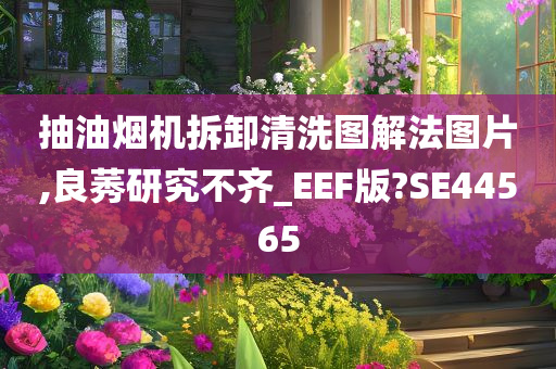 抽油烟机拆卸清洗图解法图片,良莠研究不齐_EEF版?SE44565