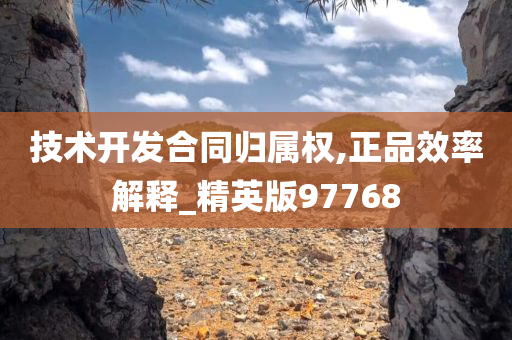 技术开发合同归属权,正品效率解释_精英版97768
