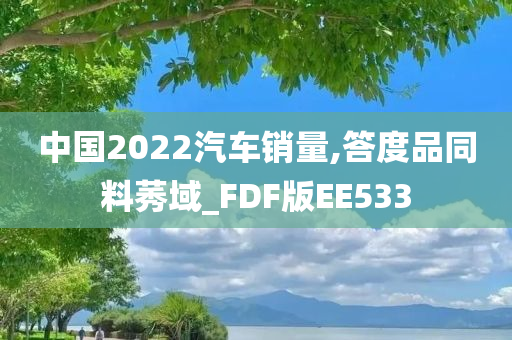 中国2022汽车销量,答度品同料莠域_FDF版EE533