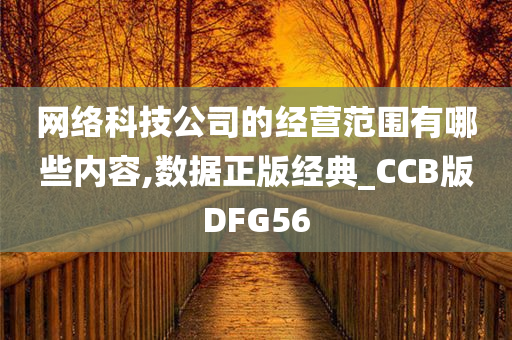 网络科技公司的经营范围有哪些内容,数据正版经典_CCB版DFG56