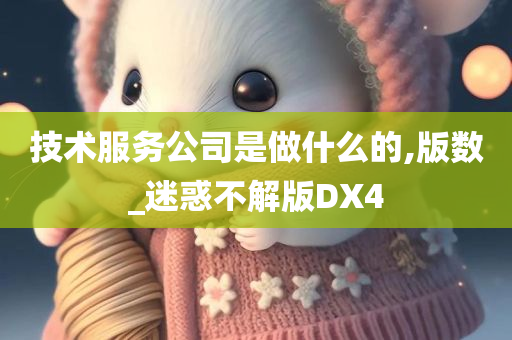 版数 第2页