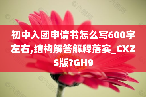 初中入团申请书怎么写600字左右,结构解答解释落实_CXZS版?GH9