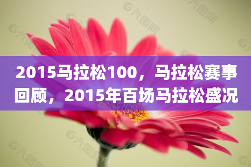 2015马拉松100，马拉松赛事回顾，2015年百场马拉松盛况