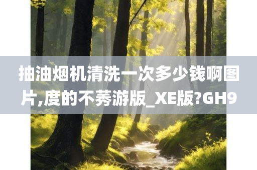 抽油烟机清洗一次多少钱啊图片,度的不莠游版_XE版?GH9